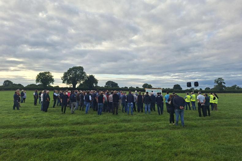 Watch: lambing 640 ewes and selling 1.7 lambs/ewe