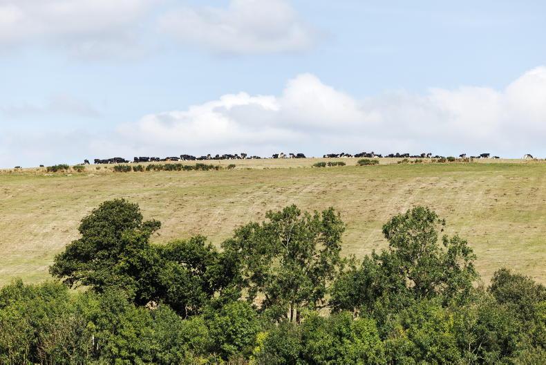 South of country to continue to be warmer and drier than normal this August