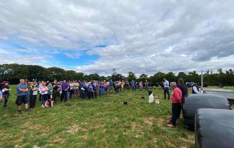 Small incremental changes leading to big profit on Wexford dairy farm