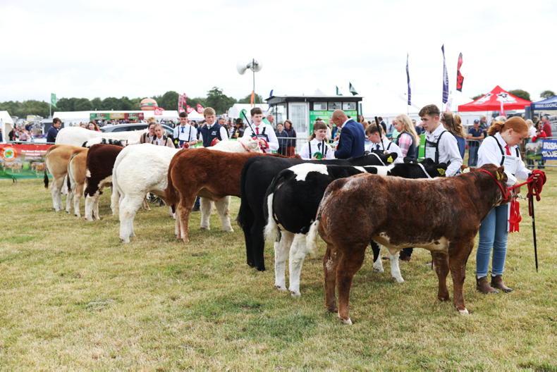 Tullamore Show 2026 LIVE with champions, results and latest updates