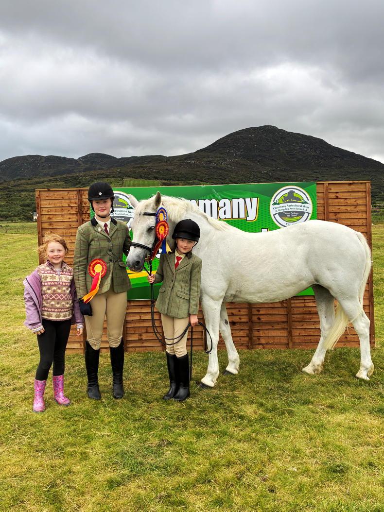Farmer Writes: the power-washer was busy at Clonmany Show