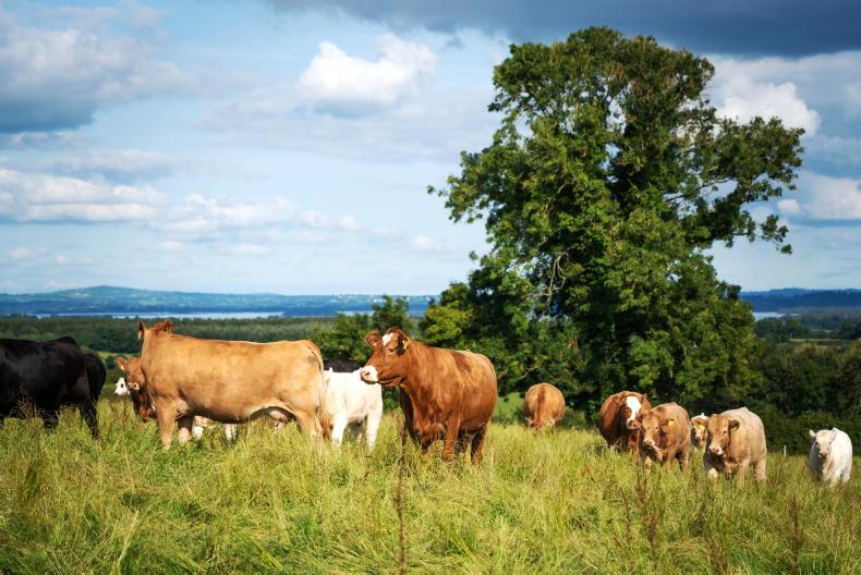 Opinion: if we fail young farmers, we risk our food security