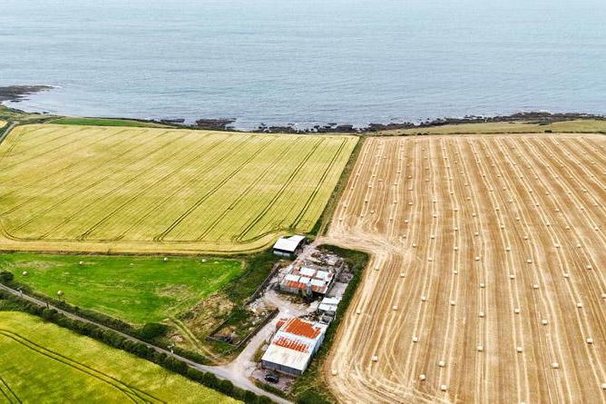 Whitegate 80ac farm with sea views comes to market for €1m