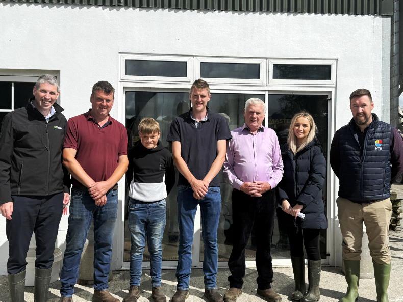 From beef to dairy as Clare family grows to 226 cows