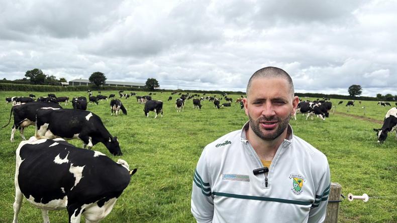 How a 176-cow dairy farm is aiming for a Monday-to-Friday routine