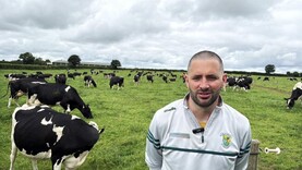 How a 176-cow dairy farm is aiming for a Monday-to-Friday routine