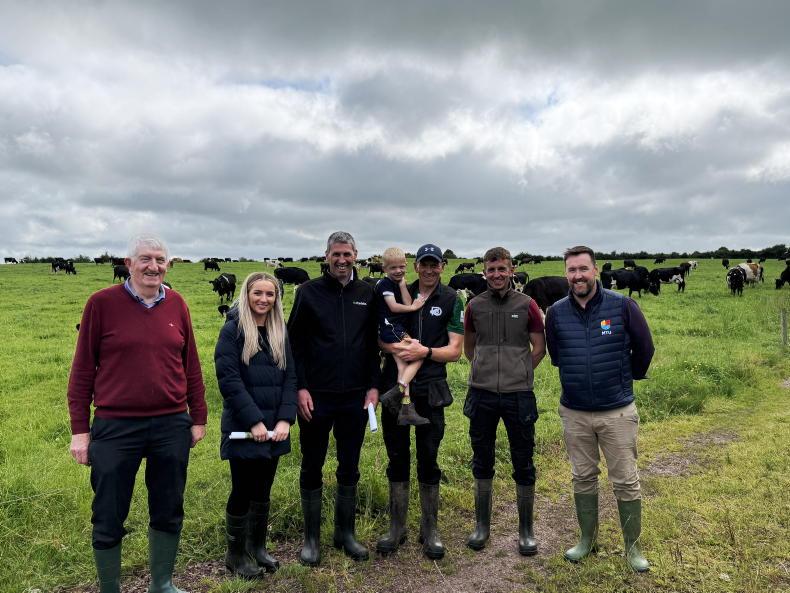 Inside the 455-cow dairy farm where everyone's finished by 4.30pm