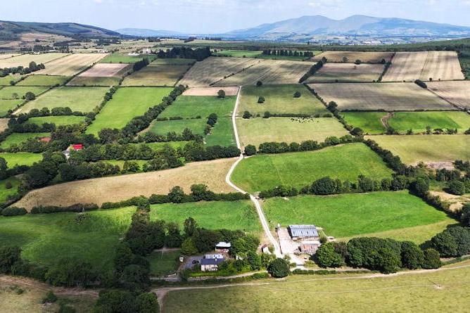 100ac residential farm in the Golden Vale comes to market for €1m
