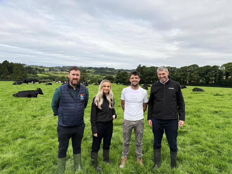 Young dairy farmer sets sights on 120-cow herd after going full-time
