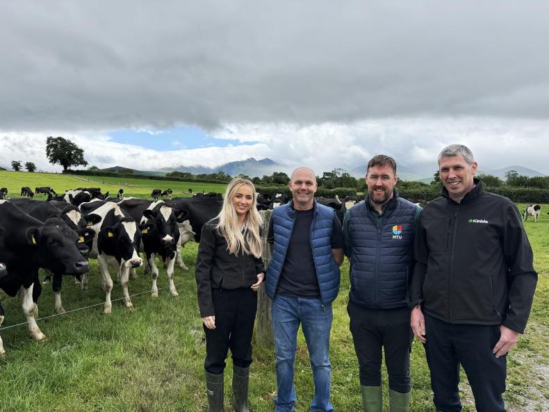 74 cows is enough as Kerry farmer targets more milk solids