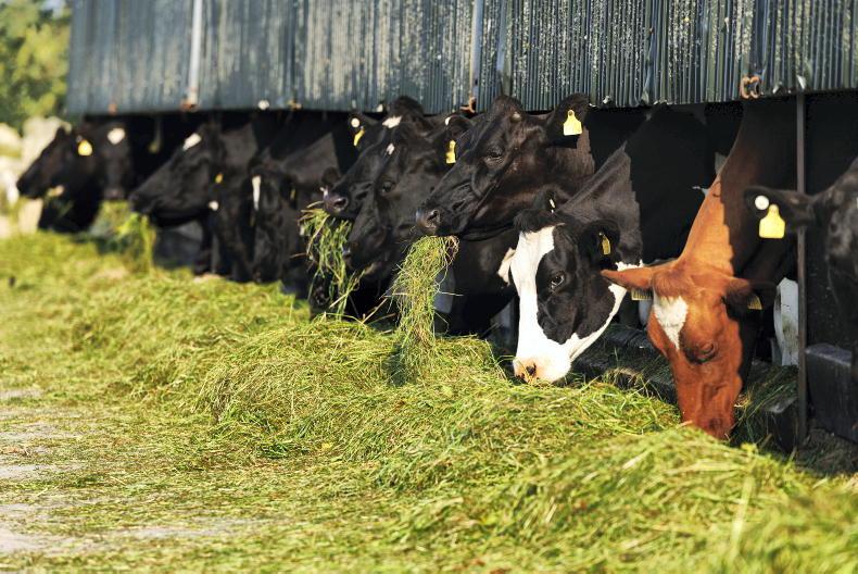 Drought dents Irish and EU milk supplies