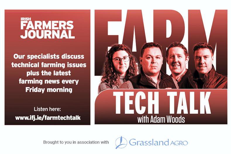 Farm Tech Talk: live exports, Tullamore Show preview and livestock trade