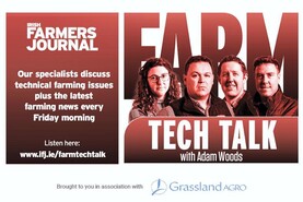 Farm Tech Talk: live exports, Tullamore Show preview and livestock trade