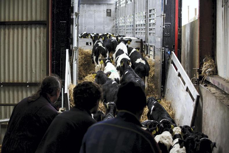 Macra warns Brittany Ferries exit is another blow to young farmers