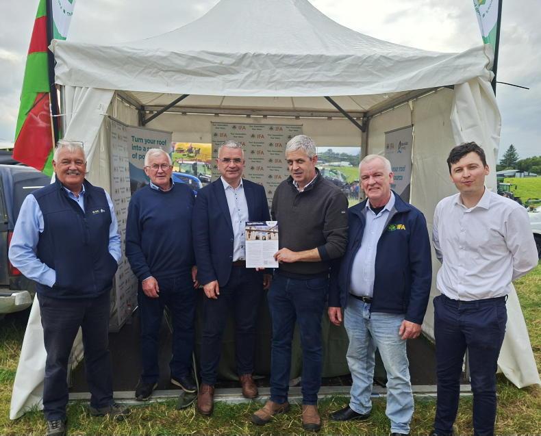Bluetongue concerns grow as conditions turn 'ideal' for midge activity