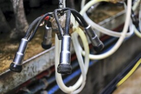 Milk supply falls almost 3% in second quarter
