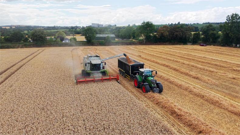 Yield Watch: wheat harvested and differences clear on the weighbridge