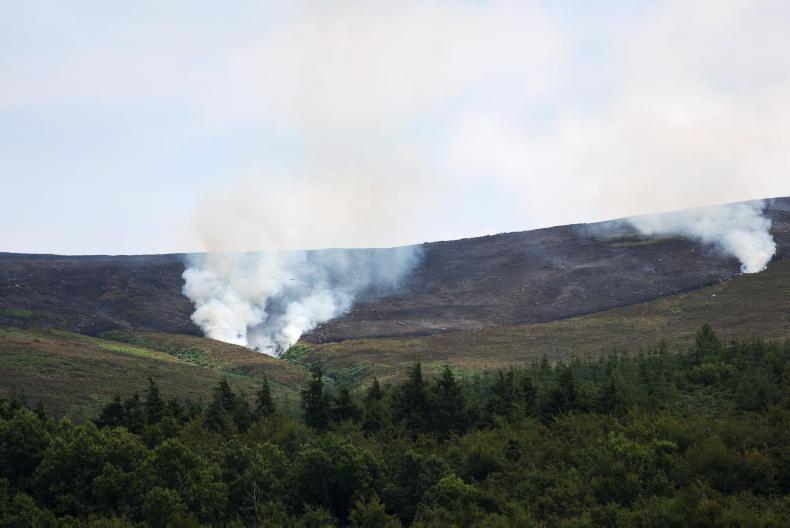 IFA urges forest owners to prepare fire plans