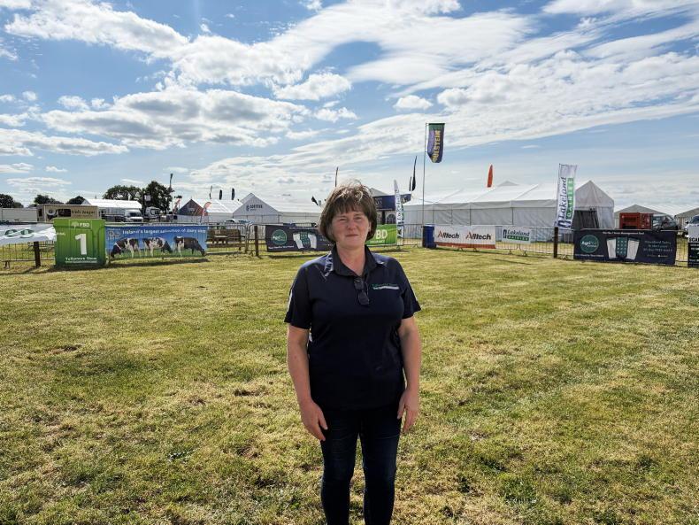 Watch: the calm before the Tullamore Show 