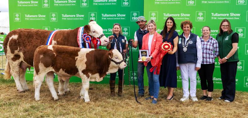 In pictures: Tullamore Show champions for 2026
