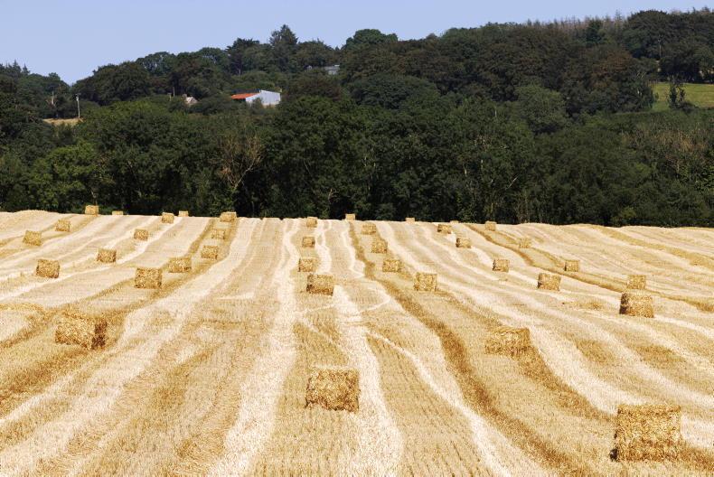 Share your views: what are hay and straw costing in your area?