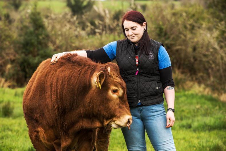 'The Blonde went looking for a bull - and brought everyone with her'