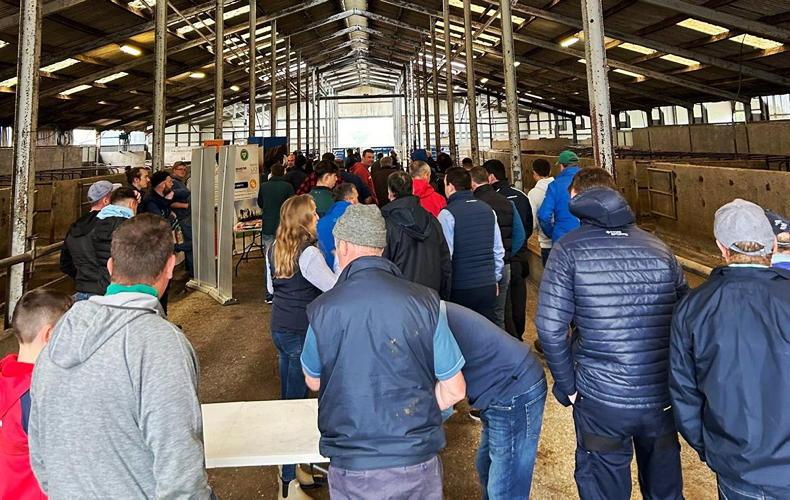 Practical lessons for a more profitable dairy farm: Future Farm Roadshow