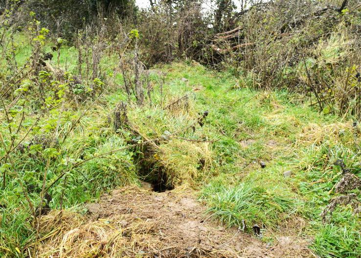 TVR part of new Irish TB approach