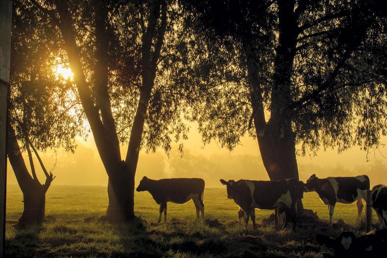 Explainer: when does hot weather become a heatwave?