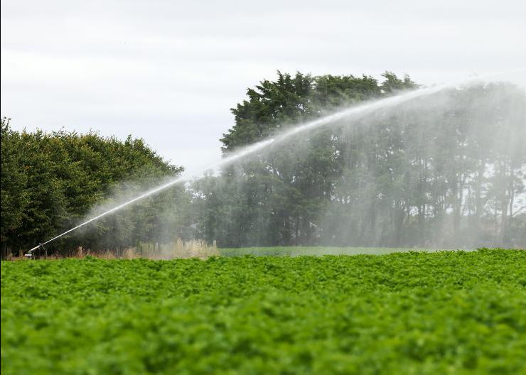 Potato yields set to drop as ongoing drought forces farmers to irrigate 