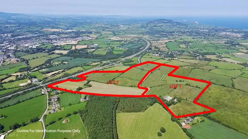 106ac Wexford farm sells for €2.25m after spirited auction