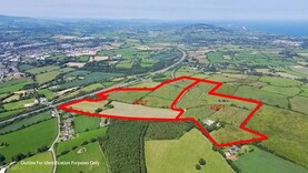 106ac Wexford farm sells for €2.25m after spirited auction