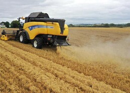Where does the Straw Incorporation Measure budget stand?