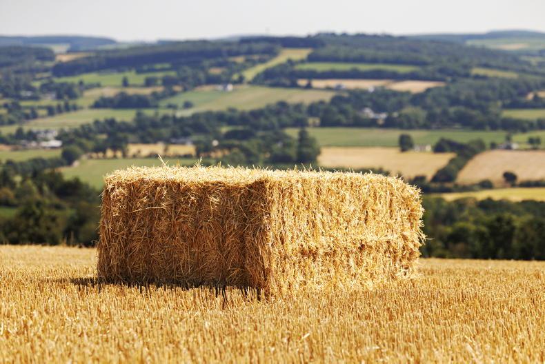 Tillage management: harvesting, planting and early beans