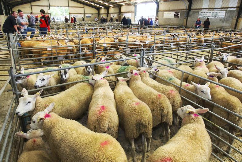 Northern Ireland diary of events