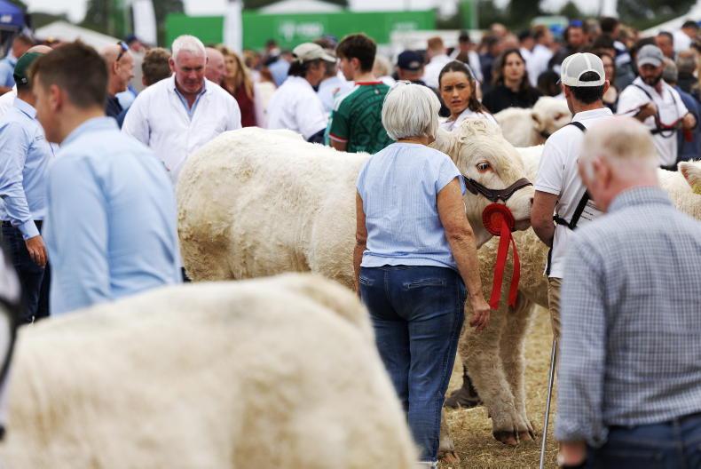 Editorial: Tullamore's success highlights what Irish agriculture is missing