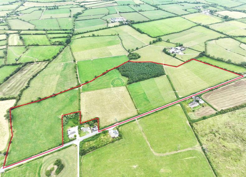 Golden Vale outblock offers expansion opportunity and future potential