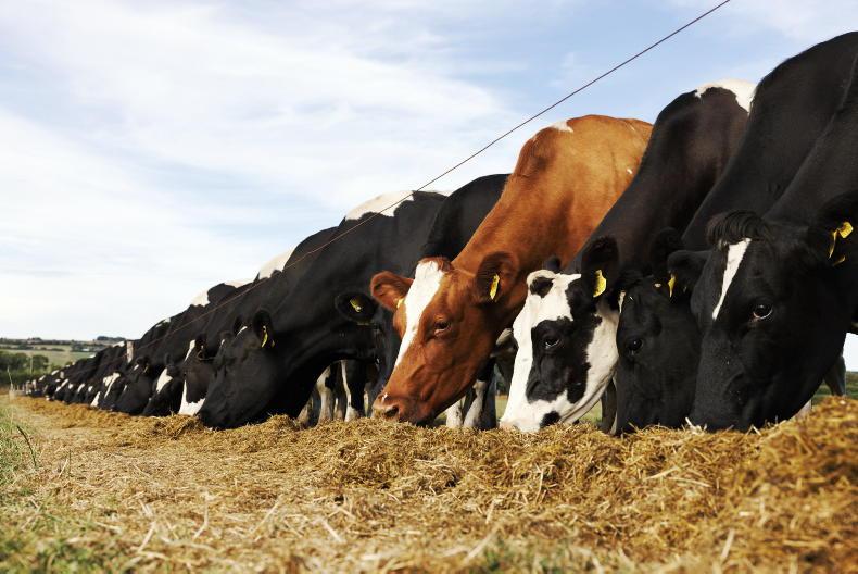All farmers urged to complete fodder budget as drought bites