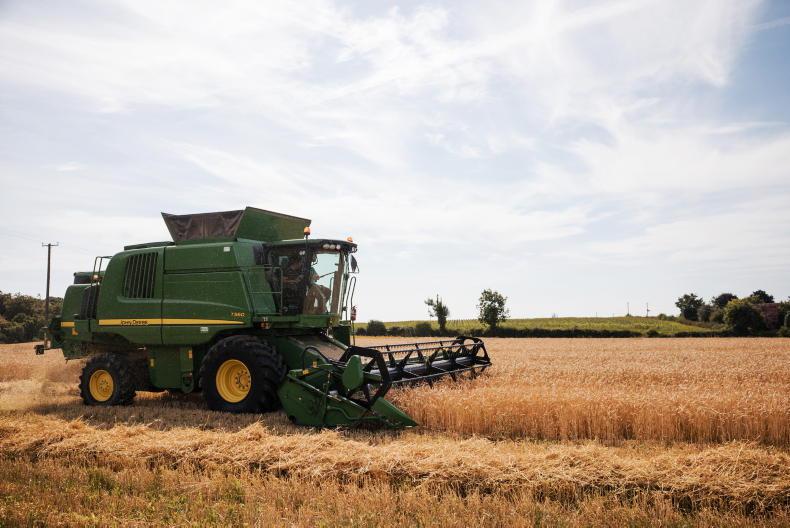 Grain trends: process stable as market wait on reports
