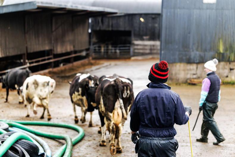 Editorial: UK's Bluetongue fears 