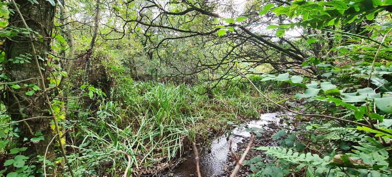 Third application window opens for ACRES landscape actions