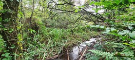 Third application window opens for ACRES landscape actions