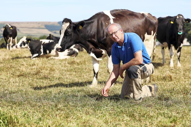 'I'm farming since 1990 and I've never had to do as much feeding'