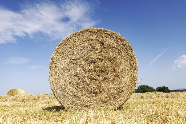 Continental interest in Irish hay 