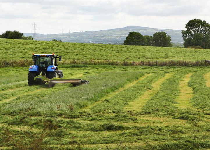 NI farmland proves sound investment