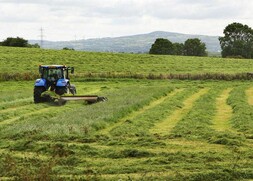 NI farmland proves sound investment