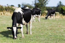 Tirlán extends drought support package for dairy farmers