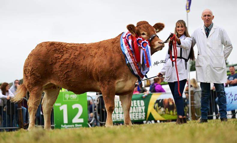 Back to back National titles for fabulous Mullary Vabulous