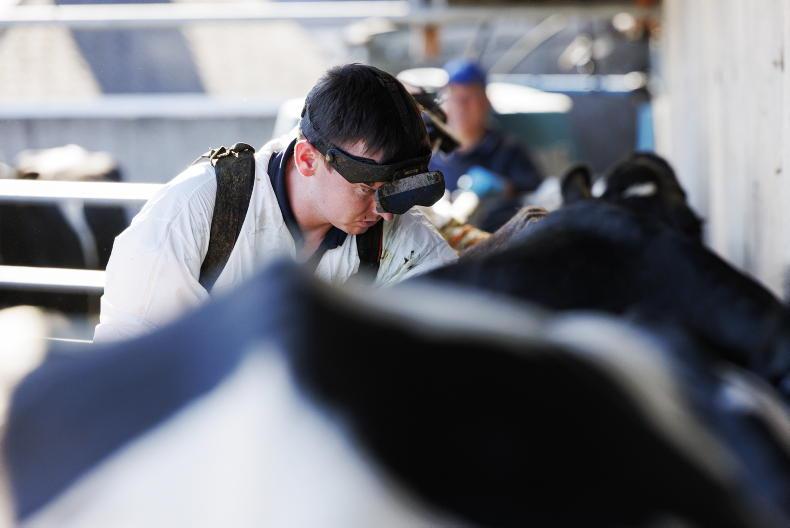 Finishing strong after breeding season winds down