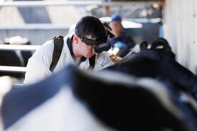 Finishing strong after breeding season winds down